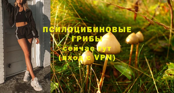 сатива Баксан