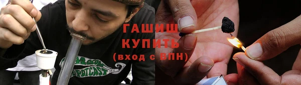 сатива Баксан