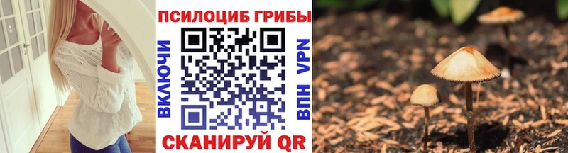 Галлюциногенные грибы мицелий  Кодинск 
