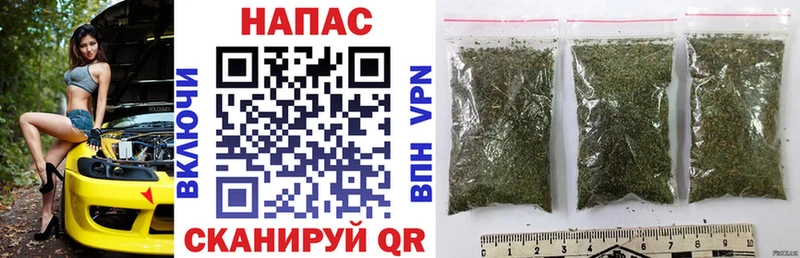 Бошки Шишки сатива Кодинск